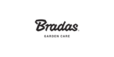 Bradas