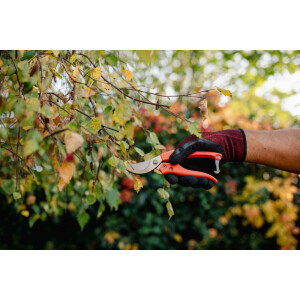 Bradas - Bypass Gartenschere V-SERIE