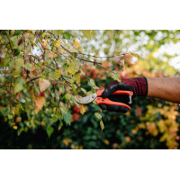 Bradas - Bypass Gartenschere V-SERIE