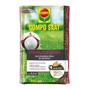 COMPO SAAT Strapazierrasen 175g für 8,5qm